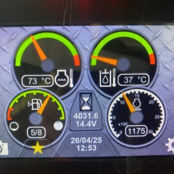 Caterpillar 259D Crawled Skidsteer Lamers Machinery (11)